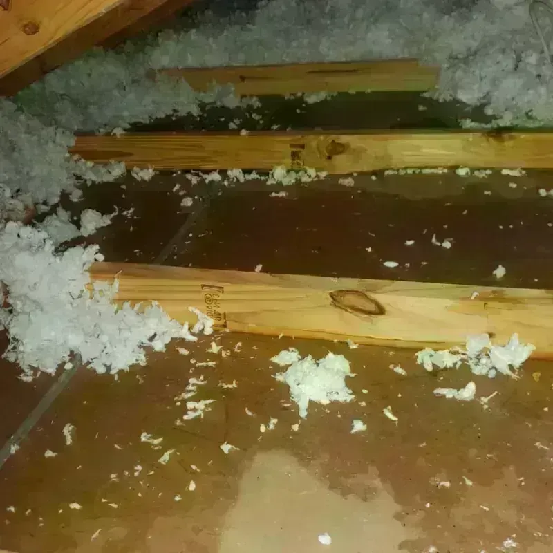 Attic Water Damage in Buena Park, CA