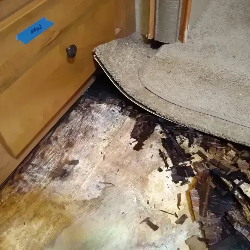 Wood Floor Water Damage in Buena Park, CA